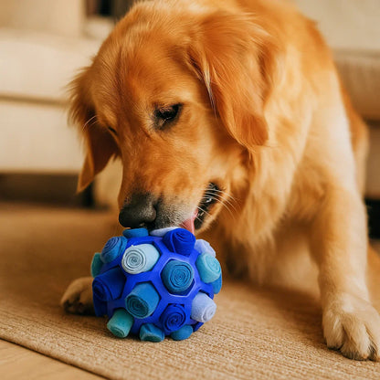 Golden retriever likt aan een blauwe snuffelbal met lichtblauwe stoffen rolletjes