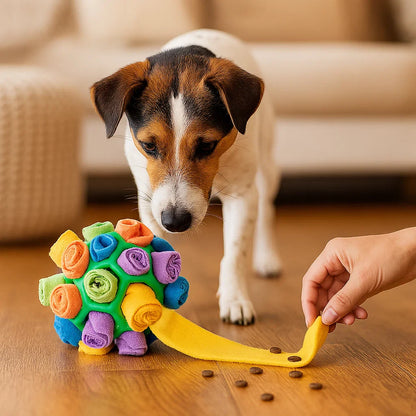 Jack russell kijkt naar een hand die brokjes bij de snuffelbal legt