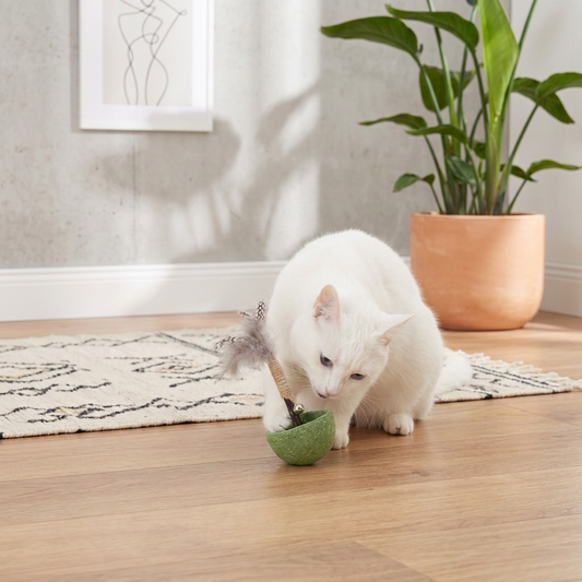 Witte kat speelt met groene kattenkruid tuimelaar met grijze veren op vloerkleed