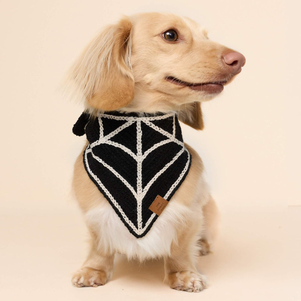 Gehaakte Spinnenweb-Bandana Voor Honden
