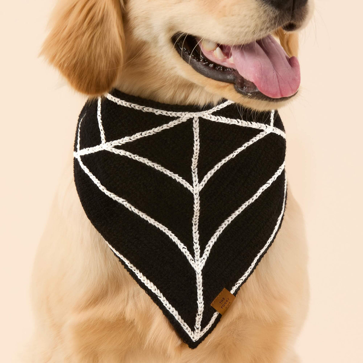 Gehaakte Spinnenweb-Bandana Voor Honden