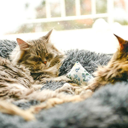 Twee katten rusten met een speeltje in de donkergrijze kattenmand