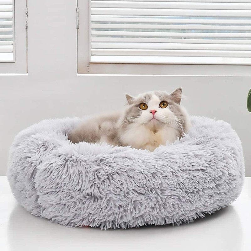 Grijs-witte kat zit in de lichtgrijze kattenmand voor een raam met jaloezieën