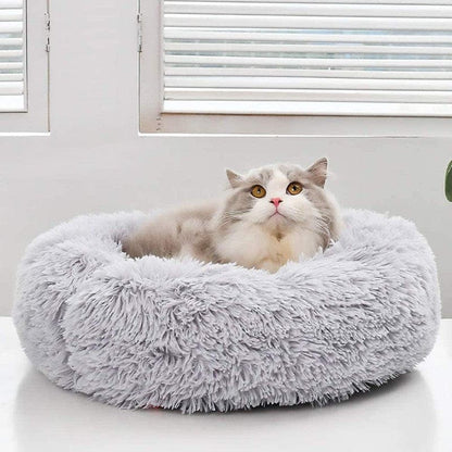 Grijs-witte kat zit in de lichtgrijze kattenmand voor een raam met jaloezieën
