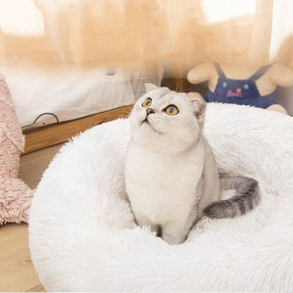 Grijs-witte kat zit rechtop in de witte kattenmand en kijkt omhoog