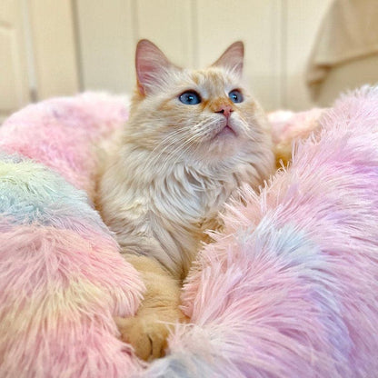 Rode kat met blauwe ogen in de pluizige regenboogkleurige kattenmand