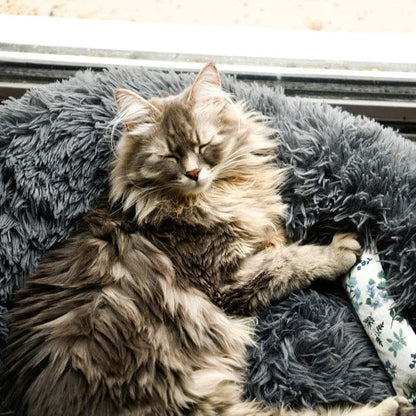Langharige grijze kat slaapt op een donkergrijze pluche donut kattenmand bij het raam