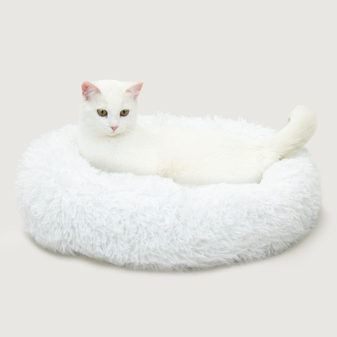 Witte kat ligt op de rand van de witte kattenmand