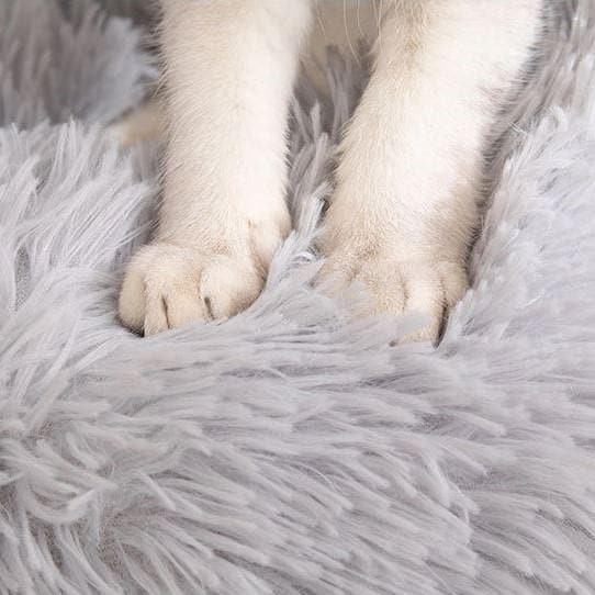 Close-up van witte kattenpootjes op de lichtgrijze lange pluche