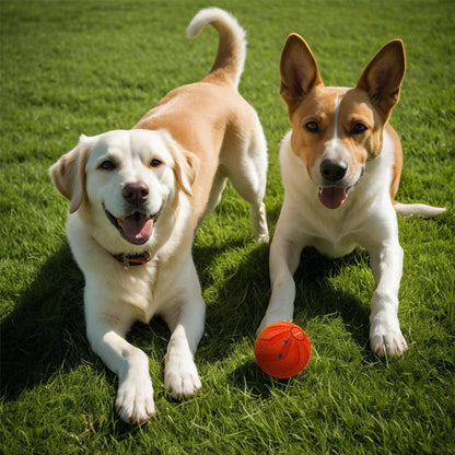 Dog Toy Ball – With Smart Motion Sensor