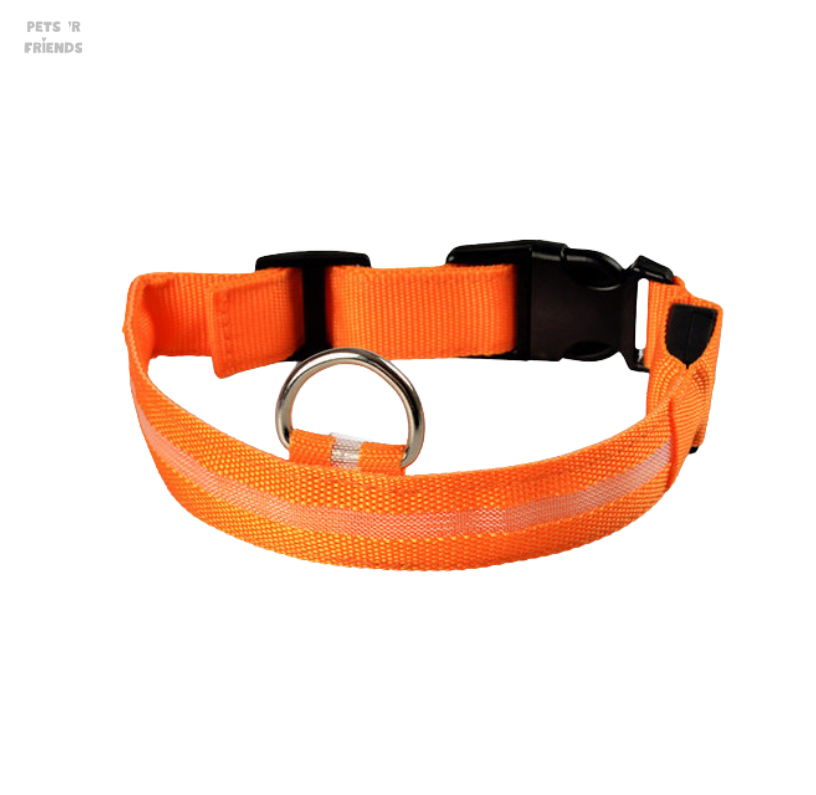 Oranje halsband met lichtstrook, open gesp en metalen D-ring