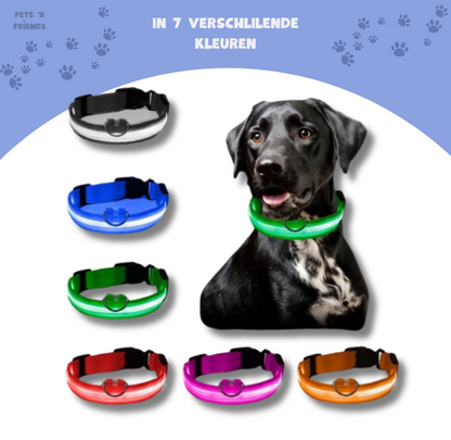 De halsband in zeven kleuren naast een zwarte hond met groene band