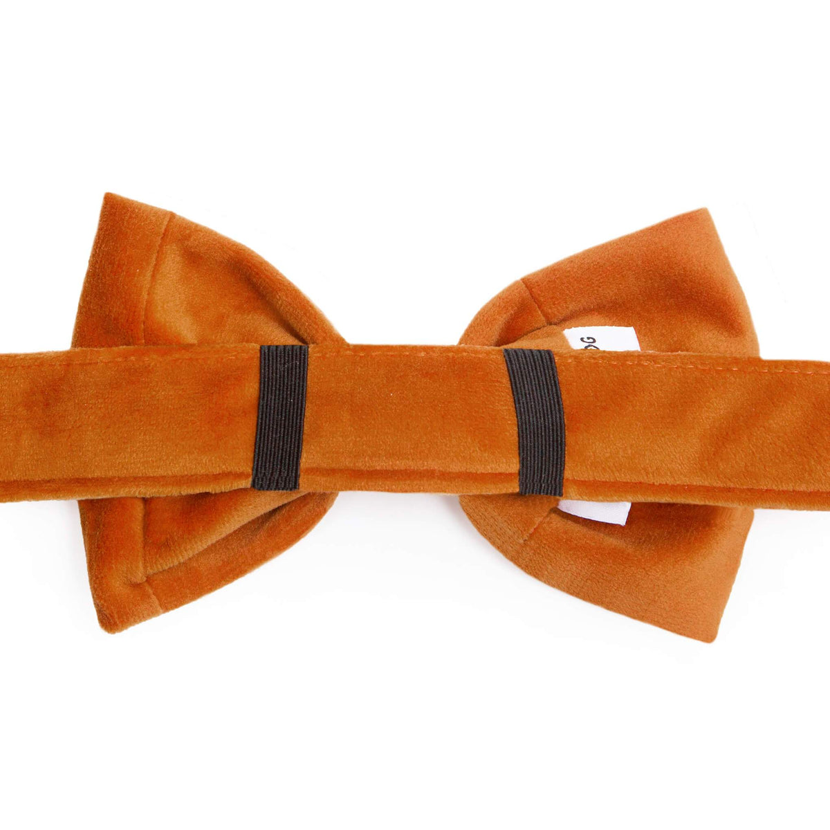 Pumpkin Fluwelen Strikhalsband Voor Honden