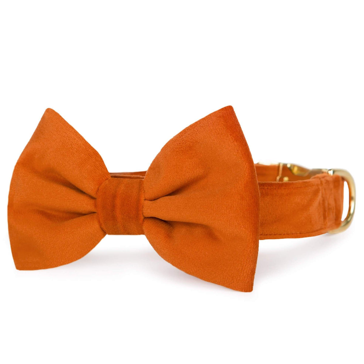 Pumpkin Fluwelen Strikhalsband Voor Honden