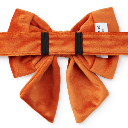 Pumpkin Fluwelen Lady-Strikhalsband Voor Honden