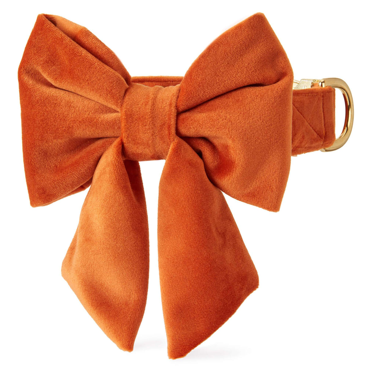 Pumpkin Fluwelen Lady-Strikhalsband Voor Honden