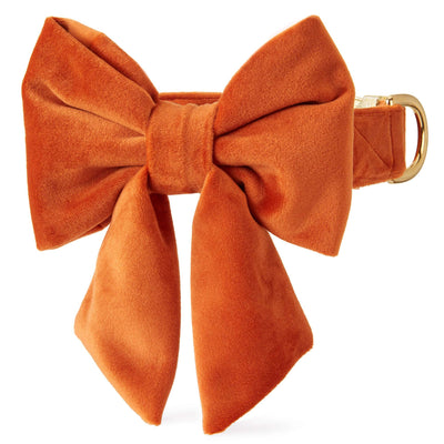 Pumpkin fluwelen lady-strikhalsband voor honden