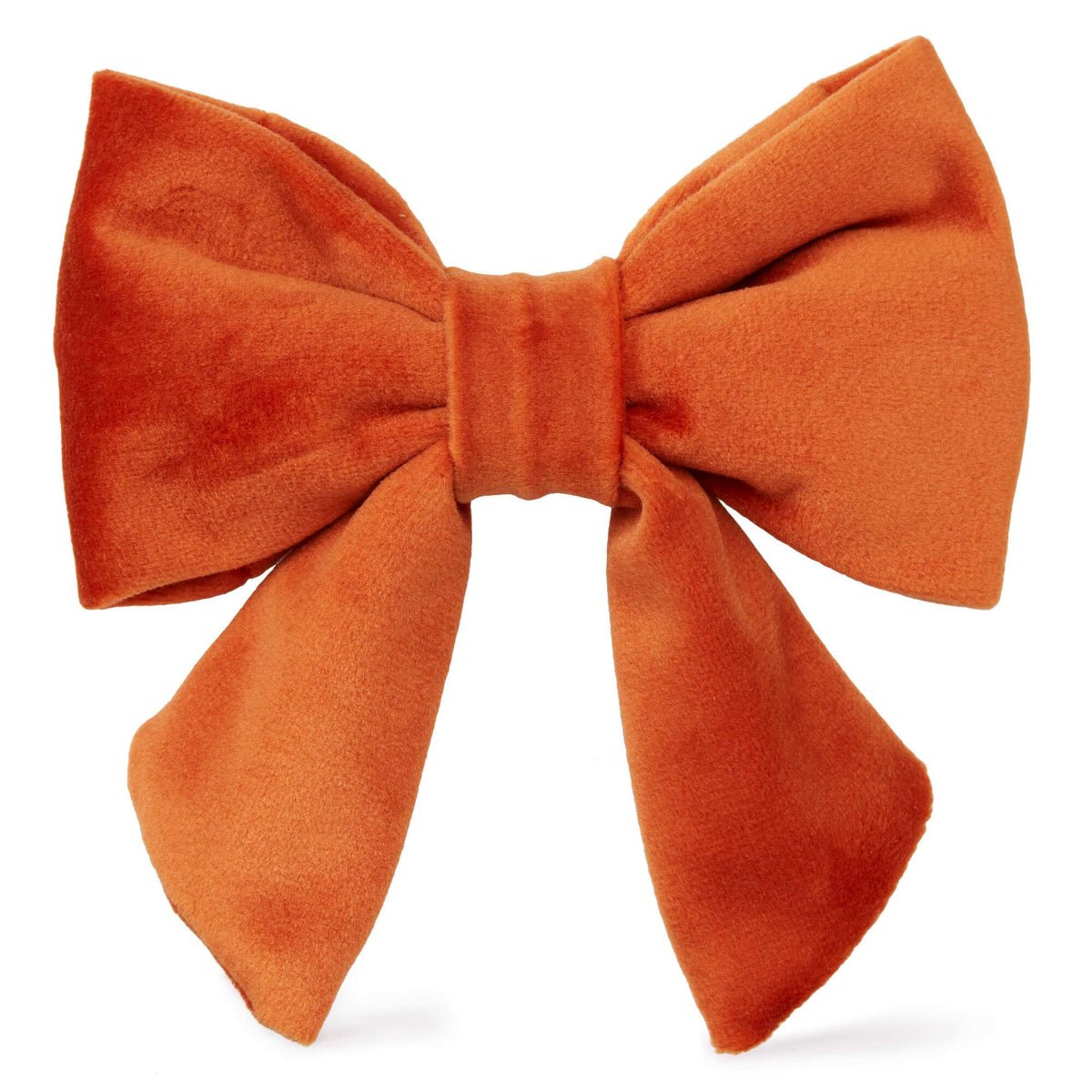 Pumpkin Fluwelen Lady-Strik Voor Honden