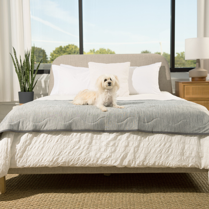 Cool Blanket for Dogs – Against Hair &amp; Accidents