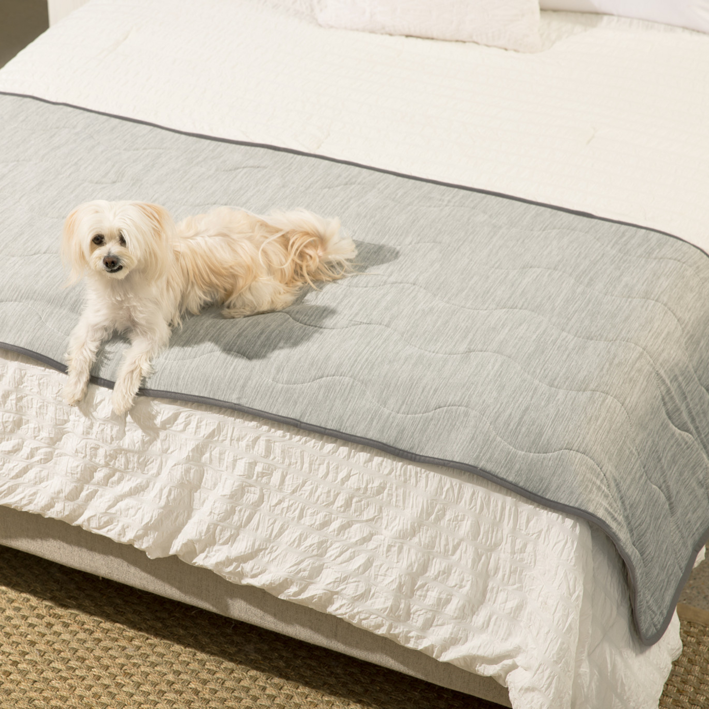 Cool Blanket for Dogs – Against Hair &amp; Accidents
