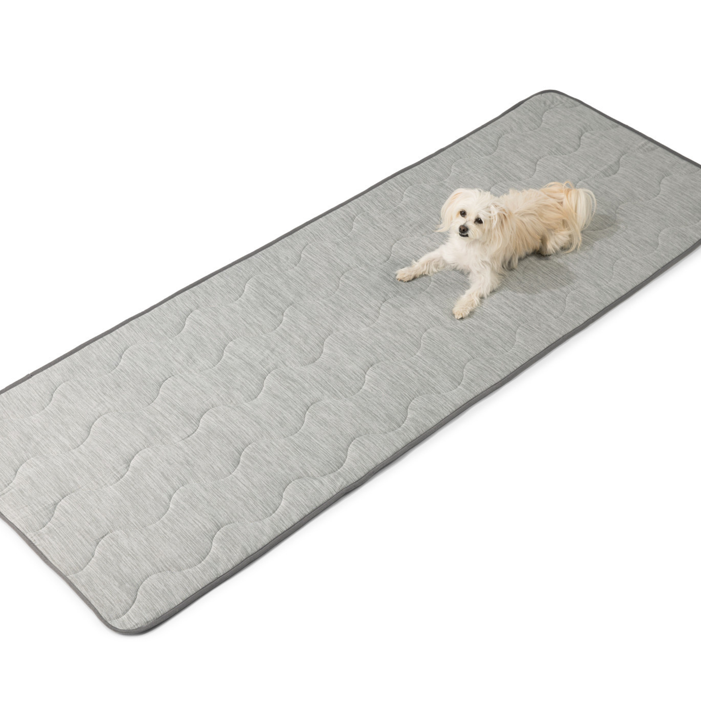 Cool Blanket for Dogs – Against Hair &amp; Accidents