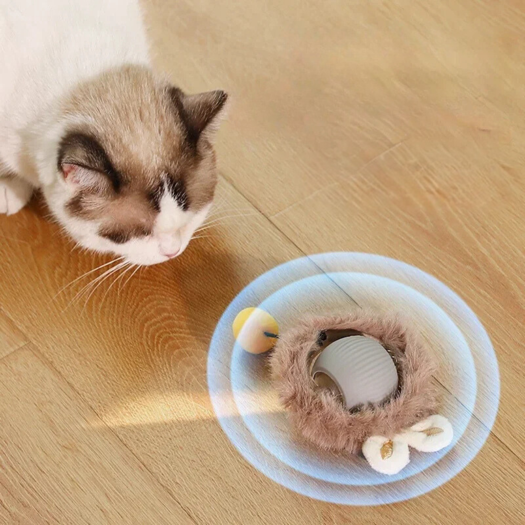 Kat kijkt naar de pluche variant met oortjes die over de vloer rolt
