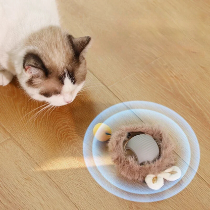 Kat kijkt naar de pluche variant met oortjes die over de vloer rolt