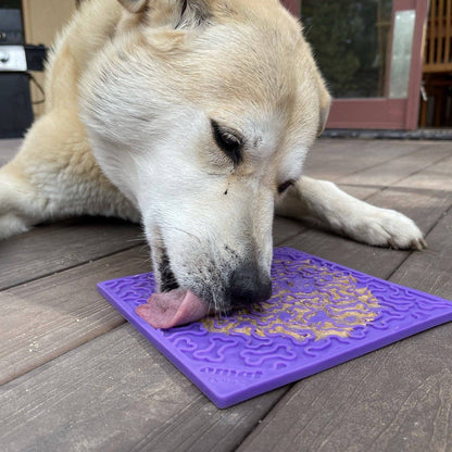 Lickmat for Dogs – Against Boredom and Faster Gobbling