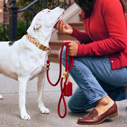 Herfstbladeren Wandelset Met Halsband Voor Honden