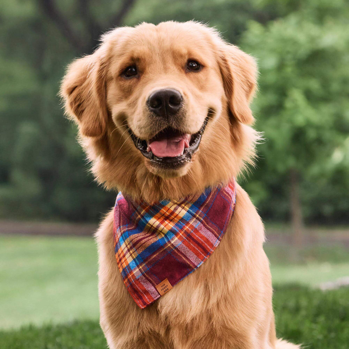 Marlow Geruite Flanellen Bandana Voor Honden