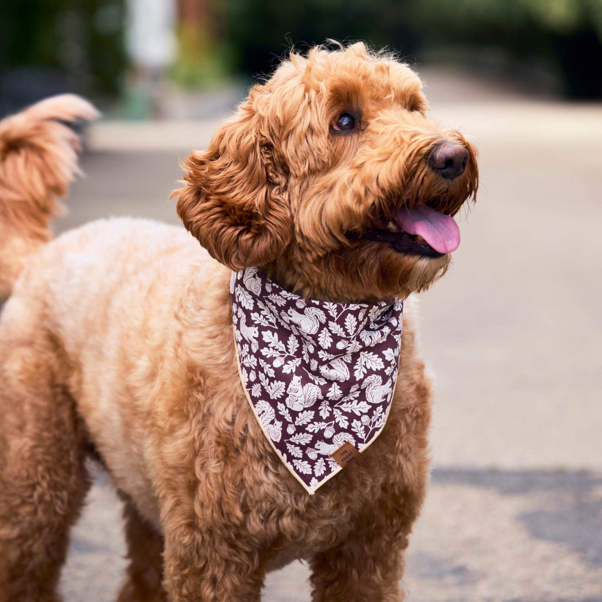 Eekhoorn Bandana Voor Honden