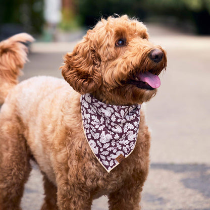 Eekhoorn Bandana Voor Honden