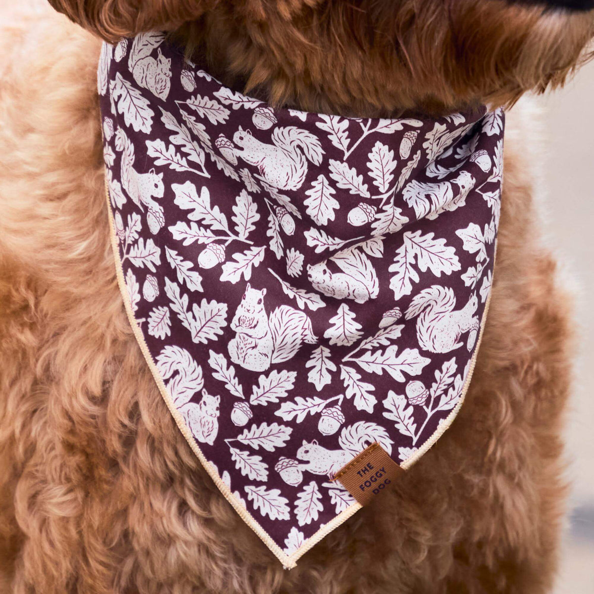 Eekhoorn Bandana Voor Honden