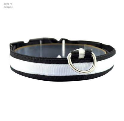 Zwarte halsband met witte lichtstrook en metalen ring aan de voorkant
