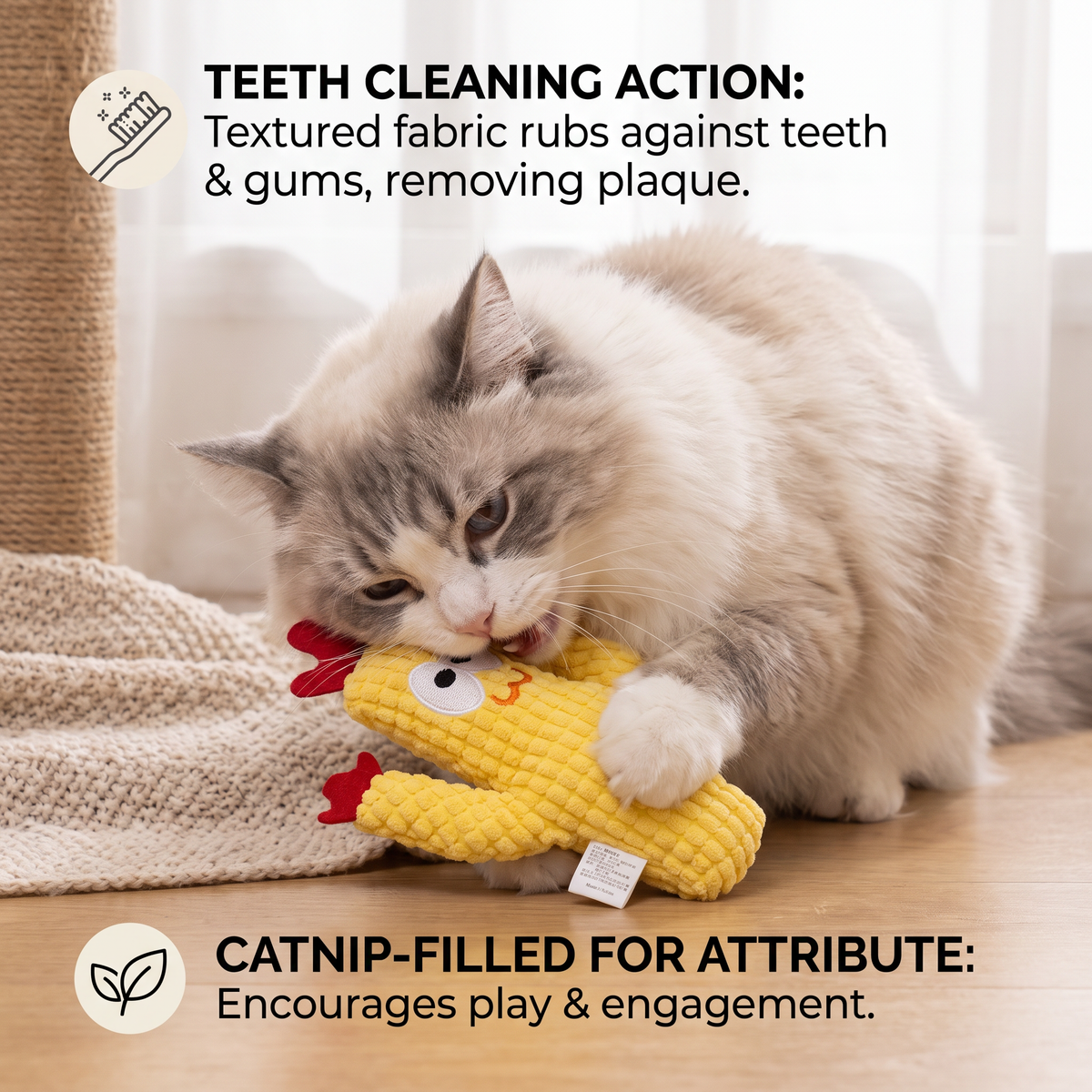 Pluizige kat bijt in gele cactus, tekst over tandenreiniging en kattenkruidvulling