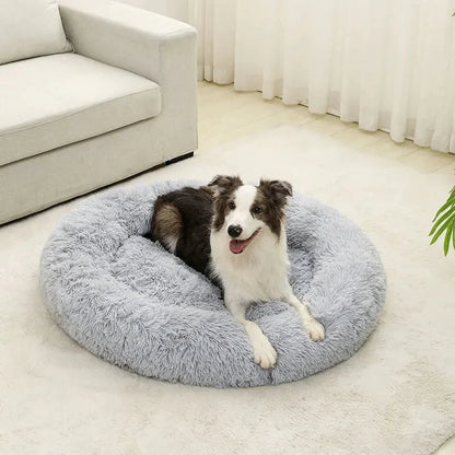 Hond ligt met voorpoten over de rand van de lichtgrijze mand
