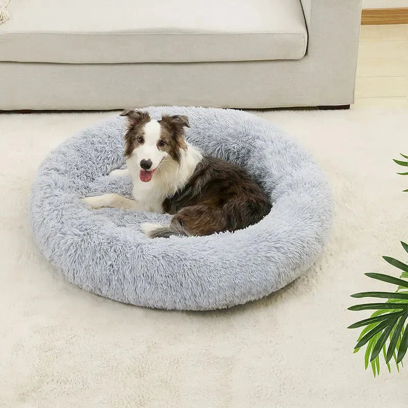 Hond ligt opgerold in de lichtgrijze mand op een wit vloerkleed