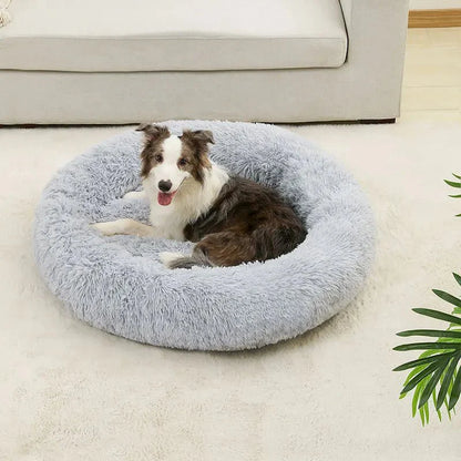 Hond ligt opgerold in de lichtgrijze mand op een wit vloerkleed