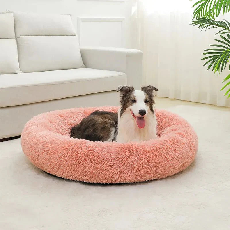 Hond kijkt vrolijk op vanuit de roze mand in een lichte woonkamer