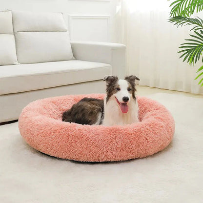 Hond kijkt vrolijk op vanuit de roze mand in een lichte woonkamer