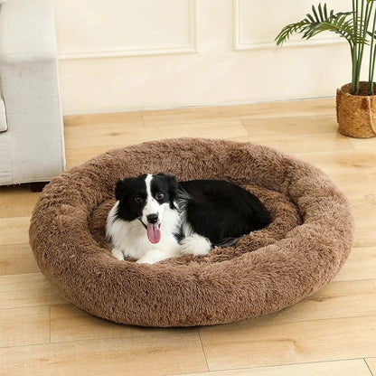 Zwart-witte border collie ligt in de bruine mand op een houten vloer