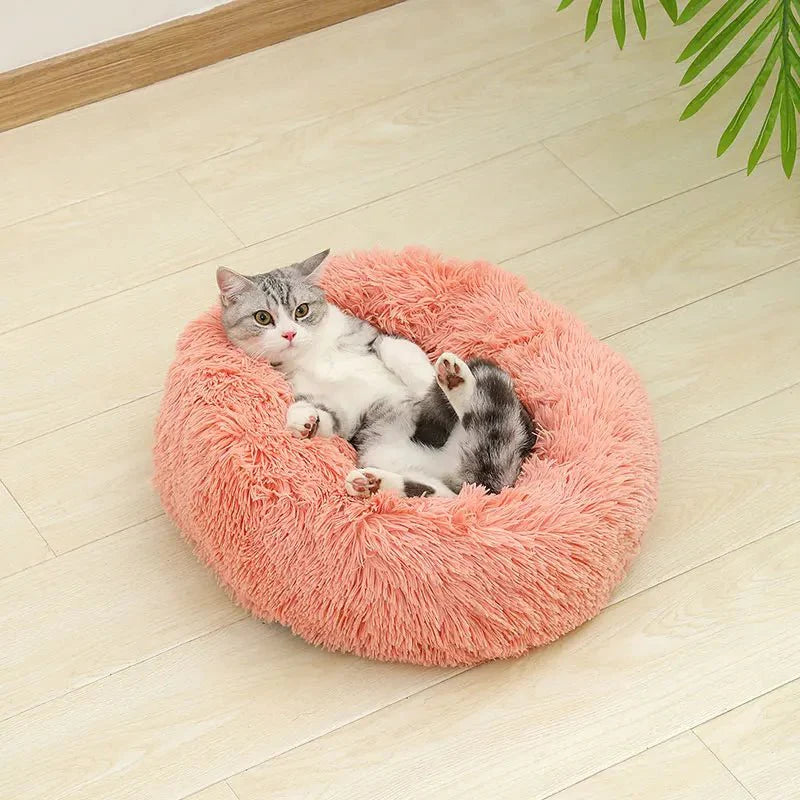 Kat ligt speels op zijn rug in de roze mand op een houten vloer