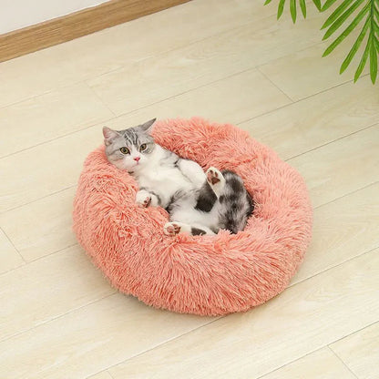 Kat ligt speels op zijn rug in de roze mand op een houten vloer