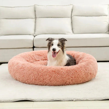 Hond met tong uit zit in de grote roze mand op een wit kleed